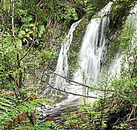 Hogarth Falls - Nambucca Heads Accommodation