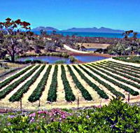 Kate's Berry Farm - Nambucca Heads Accommodation