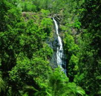Kondalilla National Park - Nambucca Heads Accommodation