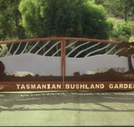 Tasmanian Bushland Garden - Nambucca Heads Accommodation