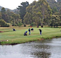 Penguin Golf Course - Nambucca Heads Accommodation