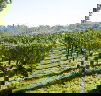 Surveyor's Hill Vineyards - Nambucca Heads Accommodation