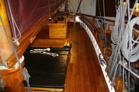 Bass & Flinders Centre - Nambucca Heads Accommodation 3