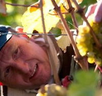 Puddleduck Vineyard - Nambucca Heads Accommodation