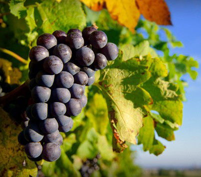 Cradoc TAS Nambucca Heads Accommodation