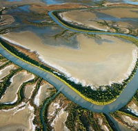 The Wilderness Gallery - Nambucca Heads Accommodation