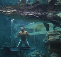 Crocosaurus Cove - Nambucca Heads Accommodation