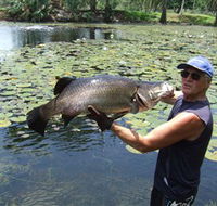 Barra Feeding - Nambucca Heads Accommodation