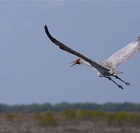 Gayngaru Wetlands Interpretive Walk - Nambucca Heads Accommodation