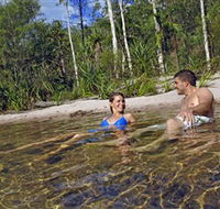 Tjaynera/Sandy Creek Falls - Nambucca Heads Accommodation
