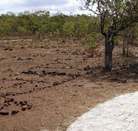 Wurrwurrwuy Garanhan Macassan Beach Interpretive Walk - Nambucca Heads Accommodation