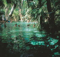 Mataranka Thermal Pool - Nambucca Heads Accommodation