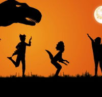 Energex Playasaurus Place - Nambucca Heads Accommodation