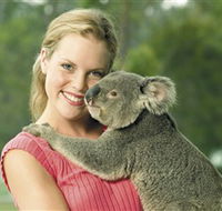 Paradise Country Aussie Farm Tour - Nambucca Heads Accommodation