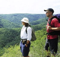 Sunshine Coast Hinterland Great Walk - Nambucca Heads Accommodation