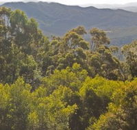 Conondale National Park - Nambucca Heads Accommodation