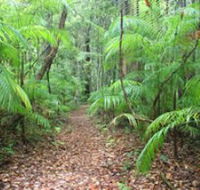 Delicia Road Conservation Park - Nambucca Heads Accommodation