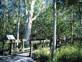 Kinaba Track - Nambucca Heads Accommodation 0