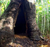 Tewantin National Park - Nambucca Heads Accommodation