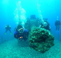 Ex-HMAS Brisbane Conservation Park - Nambucca Heads Accommodation