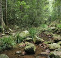 Amamoor State Forest - Nambucca Heads Accommodation