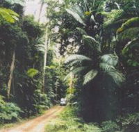 Conondale Great Walk - Nambucca Heads Accommodation