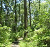 Mapleton Falls National Park - Nambucca Heads Accommodation