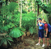 Mount Sorrow Ridge Trail Daintree National Park - Nambucca Heads Accommodation