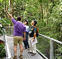 Daintree Discovery Centre - Nambucca Heads Accommodation