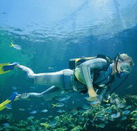 Tijou Reef - Nambucca Heads Accommodation