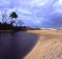 Russell River National Park - Nambucca Heads Accommodation
