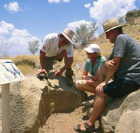 Riversleigh Fossil Fields - Nambucca Heads Accommodation