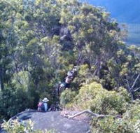 Mia Mia State Forest - Nambucca Heads Accommodation