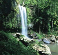 Curtis Falls Joalah Section - Nambucca Heads Accommodation