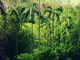 Three Moon QLD Nambucca Heads Accommodation