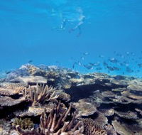 Australian Institute of Marine Science - Nambucca Heads Accommodation