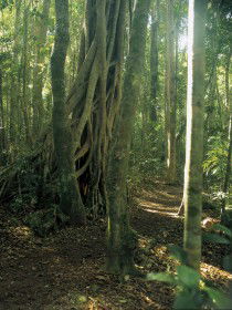  Nambucca Heads Accommodation
