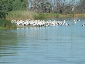  Nambucca Heads Accommodation
