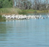 Lake Ross - Nambucca Heads Accommodation