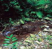 Wompoo Walk - Nambucca Heads Accommodation