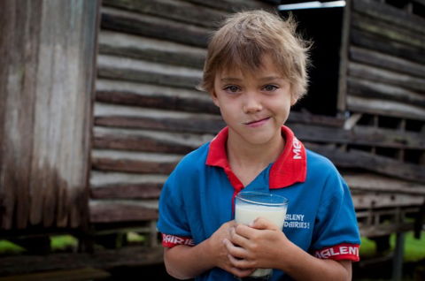 Maleny Dairies - Nambucca Heads Accommodation 2