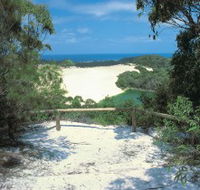 Lake Wabby Track - Nambucca Heads Accommodation