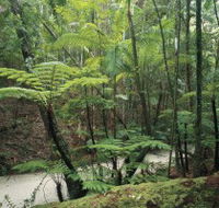 Fraser Island Great Walk - Nambucca Heads Accommodation