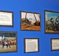 Town Hall Photographic Display - Nambucca Heads Accommodation