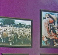 Charleville Photographic Display - Nambucca Heads Accommodation