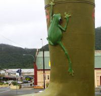 Golden Gumboot - Nambucca Heads Accommodation