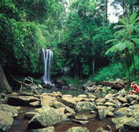 Tamborine National Park - Nambucca Heads Accommodation