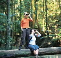 Birdwatching on the Fraser Coast - Nambucca Heads Accommodation
