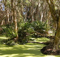 Arkarra Lagoons and Tea Gardens - Nambucca Heads Accommodation