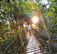Tree Top Walkway - Nambucca Heads Accommodation